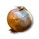 Onion