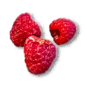 Raspberry