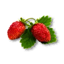 Wild Strawberry