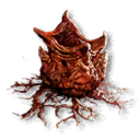 Anachora Ivy