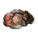 Tatzelwurm Gland