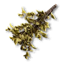 Dried Herbs