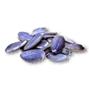 Razkovniche Seeds