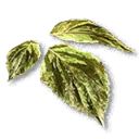 Poisonous Leaves