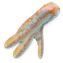 Mandrake Root